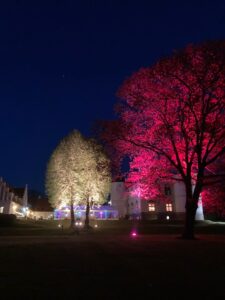 Belysning af træer og bygninger