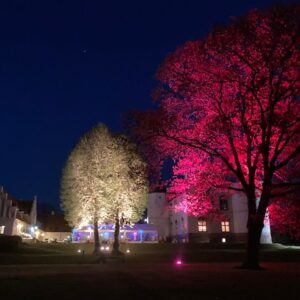 Belysning af træer og bygninger
